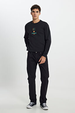 Regular Fit Normal Kesim Bisiklet Yaka Siyah Sweatshirt - Black-L242504001 (görsel 2)