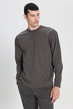 Loose Fit Rahat Kesim Bisiklet Yaka %100 Pamuk Antrasit Uzun Kollu Tişört - Anthracite-L242528003 (görsel 3)