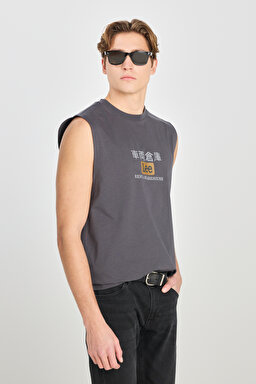%100 Pamuk Relaxed Fit Geniş Kesim Bisiklet Yaka Baskılı Antasit Tişört - Anthracite-L2510545003 (görsel 2)