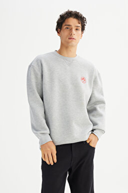 Pamuklu İçi Polarlı Regular Fit Normal Kesim Bisiklet Yaka Baskılı Sweatshirt - GrayMelange-L252009136