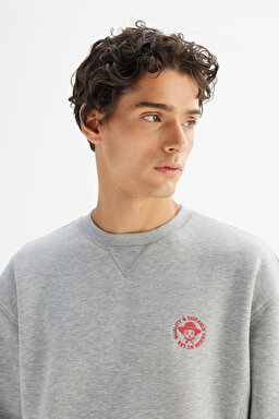 Pamuklu İçi Polarlı Regular Fit Normal Kesim Bisiklet Yaka Baskılı Sweatshirt - GrayMelange-L252009136 (görsel 4)