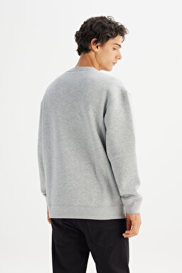 Pamuklu İçi Polarlı Regular Fit Normal Kesim Bisiklet Yaka Baskılı Sweatshirt - GrayMelange-L252009136 (görsel 5)