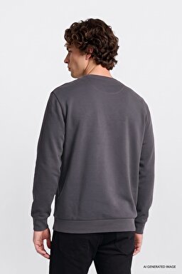 Regular Fit Normal Kesim Bisiklet Yaka Baskılı Siyah Sweatshirt - Anthracita-L2520308003 (görsel 4)
