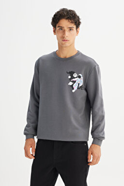 Regular Fit Normal Kesim Bisiklet Yaka Baskılı Antrasit Sweatshirt - Anthracite-L2520359003 (görsel 3)