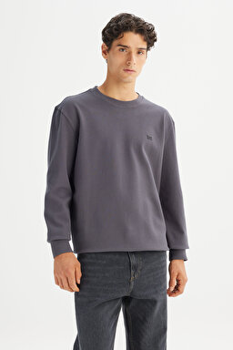 %100 Pamuk Regular Fit Normal Kesim Bisiklet Yaka Logo Detaylı Sweatshirt - Gray-L2520367035