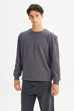 %100 Pamuk Regular Fit Normal Kesim Bisiklet Yaka Logo Detaylı Sweatshirt - Gray-L2520367035 (görsel 3)