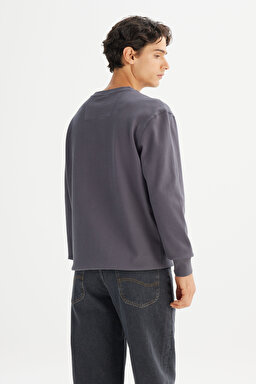 %100 Pamuk Regular Fit Normal Kesim Bisiklet Yaka Logo Detaylı Sweatshirt - Gray-L2520367035 (görsel 5)