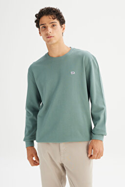 %100 Pamuk Regular Fit Normal Kesim Bisiklet Yaka Logo Detaylı Sweatshirt - KHAKI-L2520367801 (görsel 3)