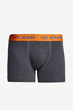 Regular Fit Normal Kesim Gri Boxer - Gray-L2520377035