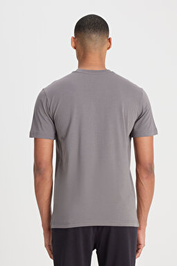 Regular Fit Normal Kesim Bisiklet Yaka %100 Pamuk Antrasit Tişört - Anthracite-L60UFQ003 (görsel 6)