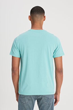 Regular Fit Normal Kesim %100 Pamuk Bisiklet Yaka Açık Yeşil Tişört - Dusty Jade-L60UFQ41 (görsel 5)