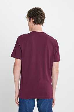 Regular Fit Normal Kesim Bisiklet Yaka %100 Pamuk Bordo Tişört - Wine-L60UFQ810 (görsel 5)