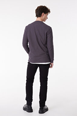 Regular Fit Normal Kesim %100 Pamuk Bisiklet Yaka Gri Tişört - Gray-L61RNB035 (görsel 5)