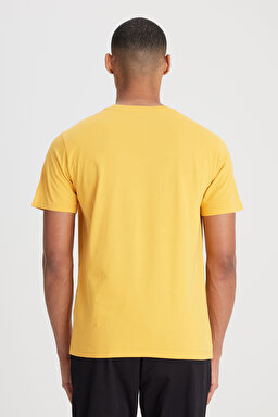 Regular Fit Normal Kesim Sıfır Yaka %100 Pamuk Logolu Tişört - Yellow-L65QAI200 (görsel 5)