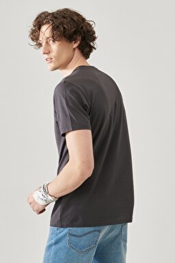 Regular Fit Normal Kesim Bisiklet Yaka Antrasit Tişört - Washed Black-L68SFEON (görsel 6)