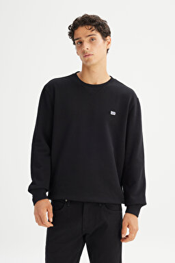 Regular Fit Normal Kesim Bisiklet Yaka %100 Pamuk İçi Polarlı Sweatshirt - Black-L81IRY100