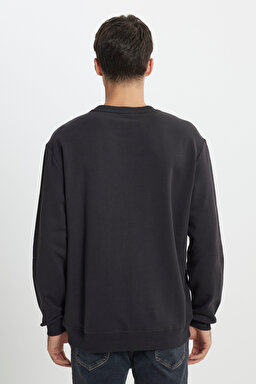 Regular Fit Normal Kesim %100 Pamuk Bisiklet Yaka Antrasit Sweatshirt - Washed Black-L81MRFON (görsel 5)