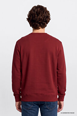 Regular Fit Normal Kesim %100 Pamuk Bisiklet Yaka İçi Polarlı Bordo Sweatshirt - Port-L82IRYA84 (görsel 5)