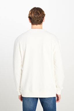 Regular Fit Normal Kesim Sıfır Yaka Sweatshirt - Ecru-LL20FRNQ (görsel 4)