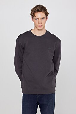 Pamuklu Regular Fit Normal Kesim Bisiklet Yaka Logo Detaylı Sweatshirt - FadedBlack-TW252025533W