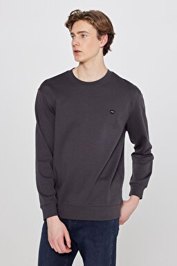 Pamuklu Regular Fit Normal Kesim Bisiklet Yaka Logo Detaylı Sweatshirt - FadedBlack-TW252025533W (görsel 2)
