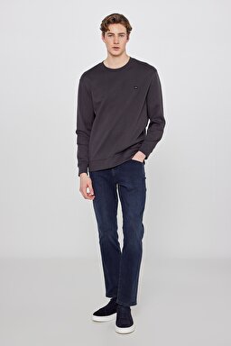 Pamuklu Regular Fit Normal Kesim Bisiklet Yaka Logo Detaylı Sweatshirt - FadedBlack-TW252025533W (görsel 3)
