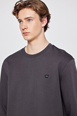 Pamuklu Regular Fit Normal Kesim Bisiklet Yaka Logo Detaylı Sweatshirt - FadedBlack-TW252025533W (görsel 4)