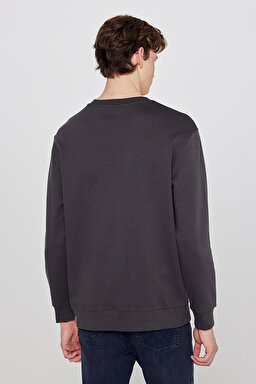 Pamuklu Regular Fit Normal Kesim Bisiklet Yaka Logo Detaylı Sweatshirt - FadedBlack-TW252025533W (görsel 5)