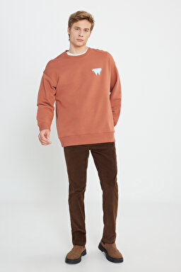 Texas Slim Fit Normal Bel Esnek Pantolon - Brown-W12SEC455