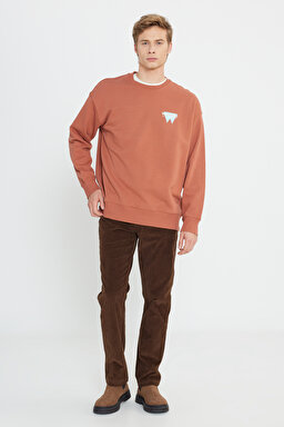 Texas Slim Fit Normal Bel Esnek Pantolon - Brown-W12SEC455 (görsel 2)