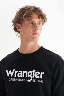 Regular Fit Normal Kesim %100 Pamuk Sıfır Yaka Sweatshirt - Black-W212025001 (görsel 4)