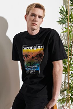 Loose Fit Rahat Kesim Bisiklet Yaka %100 Pamuk Siyah Tişört - Black-W221363001 (görsel 3)