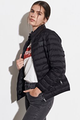 Regular Fit Normal Kesim Siyah Şişme Mont - Black-W222563001 (görsel 2)
