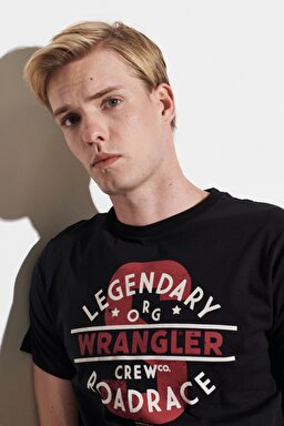 Regular Fit Normal Kesim %100 Pamuk Bisiklet Yaka Tişört - Black-W222580001 (görsel 3)