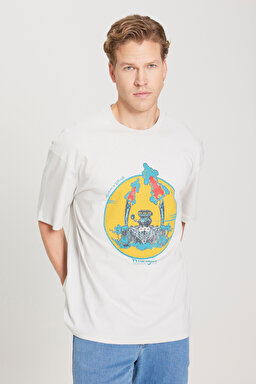 Loose Fit Rahat Kesim %100 Pamuk Bisiklet Yaka Gri Tişört - Light Stone-W231237811