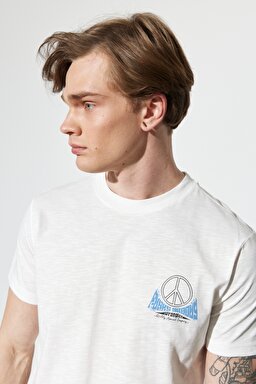 Regular Fit Normal Kesim %100 Pamuk Bisiklet Yaka Kırık Beyaz Tişört - Off White-W231241102 (görsel 5)