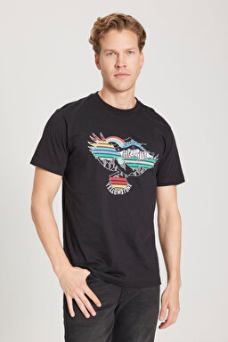 Regular Fit Normal Kesim %100 Pamuk Bisiklet Yaka Siyah Tişört - Black-W231243001 (görsel 2)