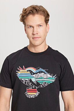 Regular Fit Normal Kesim %100 Pamuk Bisiklet Yaka Siyah Tişört - Black-W231243001 (görsel 4)