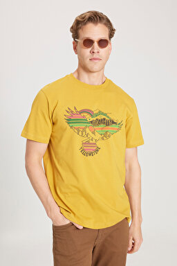 Regular Fit Normal Kesim %100 Pamuk Bisiklet Yaka Sarı Tişört - Yellow-W231243200