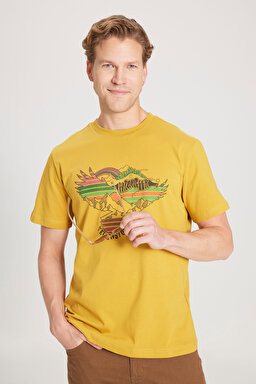 Regular Fit Normal Kesim %100 Pamuk Bisiklet Yaka Sarı Tişört - Yellow-W231243200 (görsel 2)