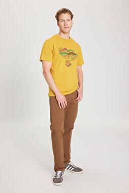 Regular Fit Normal Kesim %100 Pamuk Bisiklet Yaka Sarı Tişört - Yellow-W231243200 (görsel 4)