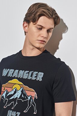 Regular Fit Normal Kesim %100 Pamuk Bisiklet Yaka Siyah Tişört - Black-W231254001 (görsel 3)