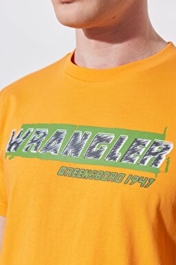 Regular Fit Normal Kesim %100 Pamuk Bisiklet Yaka Turuncu Tişört - Orange-W231257700 (görsel 5)