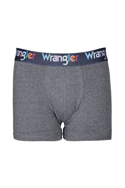 Regular Fit Normal Kesim Antrasit Boxer - Anthracite-W231758003