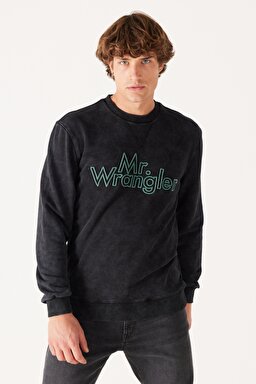 Regular Fit Normal Kesim %100 Pamuk Bisiklet Yaka Siyah Sweatshirt - Black-W232249001