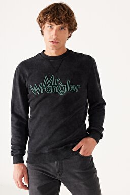 Regular Fit Normal Kesim %100 Pamuk Bisiklet Yaka Siyah Sweatshirt - Black-W232249001 (görsel 2)