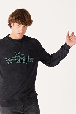 Regular Fit Normal Kesim %100 Pamuk Bisiklet Yaka Siyah Sweatshirt - Black-W232249001 (görsel 3)
