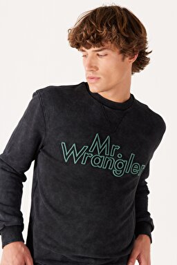 Regular Fit Normal Kesim %100 Pamuk Bisiklet Yaka Siyah Sweatshirt - Black-W232249001 (görsel 4)