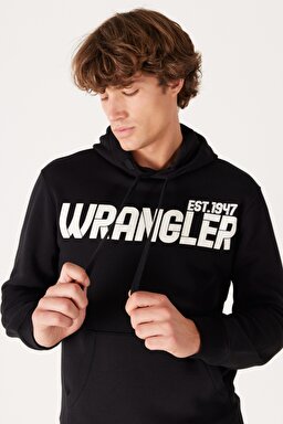 Regular Fit Normal Kesim Kapüşonlu İçi Polarlı Siyah Sweatshirt - Black-W232257001 (görsel 4)