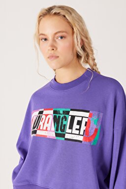Relaxed Fit Geniş Kesim İçi Polarlı Bisiklet Yaka Mor Sweatshirt - Purple-W232310499 (görsel 3)